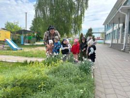 День Эколят День Эколят.